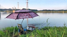 낙하산 > 낙하산의 낚시여행...(충남 당진 대호 적서리) : 낚시사랑