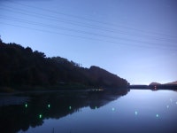 인천사랑. > 보령 해창저수지 : 낚시사랑