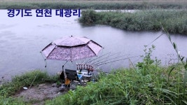 낙하산 > 낙하산의 낚시여행...(경기도 연천 대광리) : 낚시사랑