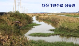 낙하산 > 낙하산의 낚시여행...(대산 1번수로 상류권) : 낚시사랑