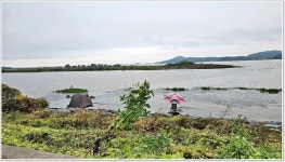 어신 > 최악의 여건 속에서의 하룻밤 낚시...아산호 쌀조개섬앞 : 낚시사랑