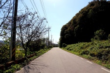 솔바람소리 > 화산천 : 낚시사랑