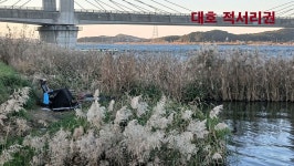 낙하산 > 낙하산의 낚시여행...(충남 당진 대호 적서리) : 낚시사랑