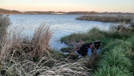 낙하산 > 낙하산의 낚시여행...(충남 당진 대호 적서리) : 낚시사랑