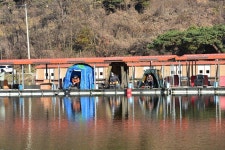 질꾼 > [붕어 이야기 509] 출조일 간격이 조금씩 멀어지네요. ^^ : 낚시사랑