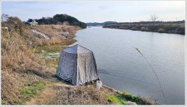 어신 > 안면도 신야수로의 대물붕어 : 낚시사랑