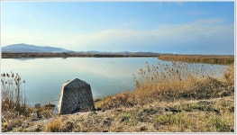 어신 > 역시 미암수로...마릿수가 나왔습니다. : 낚시사랑