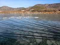 인천사랑. > 강화저수지 얼음낚시 : 낚시사랑