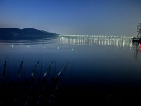 솔바람소리 > 아산호 신남리 : 낚시사랑