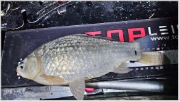 어신 > 강풍과 낮은 수심속의 덕송리수로 : 낚시사랑