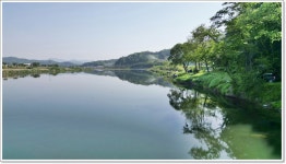 어신 > 지난 해에 이어 다시 찾은 괴강 : 낚시사랑