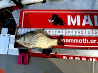 솔바람소리 > 장자 소류지 : 낚시사랑