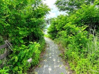 솔바람소리 > 시장지 : 낚시사랑