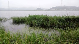 낙하산 > 낙하산의 낚시여행...(대호 적서리) : 낚시사랑