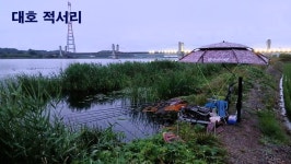 낙하산 > 낙하산의 낚시여행...(대호 적서리) : 낚시사랑