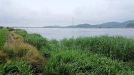 낙하산 > 낙하산의 낚시여행...(대호 적서리) : 낚시사랑