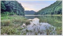 어신 > 3시간 작업하고 다음 날 보니 맨바닥...대곡지 : 낚시사랑
