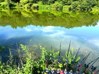 솔바람소리 > 청양 온직 소류지 : 낚시사랑