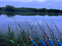 솔바람소리 > 둔포천 : 낚시사랑