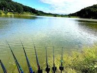 솔바람소리 > 용인 소류지 : 낚시사랑