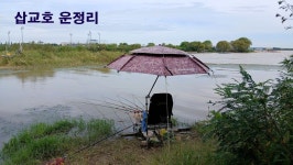 낙하산 > 낙하산의 낚시여행...(삽교호 운정리) : 낚시사랑