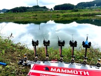 솔바람소리 > 신양천 하류 서계양리 : 낚시사랑