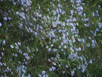 바다하늘산 > 경기권 소류지 탐사 ... 풍우(風雨) ... 2025.10.18 ~ 10.19 ... : 낚시사랑