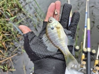 바다하늘산 > 경기권 소류지 탐사 ... 풍우(風雨) ... 2025.10.18 ~ 10.19 ... : 낚시사랑