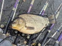 바다하늘산 > 경기권 소류지 탐사 ... 풍우(風雨) ... 2025.10.18 ~ 10.19 ... : 낚시사랑