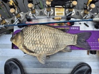 바다하늘산 > 경기권 소류지 탐사 ... 풍우(風雨) ... 2025.10.18 ~ 10.19 ... : 낚시사랑