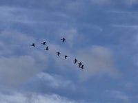 바다하늘산 > 경기권 소류지 탐사 ... 풍우(風雨) ... 2025.10.18 ~ 10.19 ... : 낚시사랑