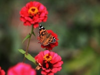 바다하늘산 > 경기권 소류지 탐사 ... 풍우(風雨) ... 2025.10.18 ~ 10.19 ... : 낚시사랑