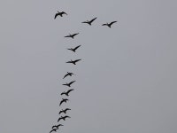 바다하늘산 > 경기권 소류지 탐사 ... 풍우(風雨) ... 2025.10.18 ~ 10.19 ... : 낚시사랑