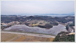 어신 > 올해의 마지막이 될지도 모르는 주꾸미 낚시와 지포지의 대물붕어 : 낚시사랑