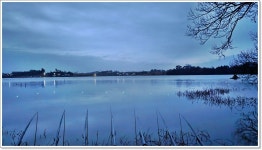 어신 > 남도 출조 두번째 영암 금지제의 붕어들 : 낚시사랑