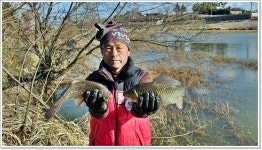 어신 > 남도 출조 두번째 영암 금지제의 붕어들 : 낚시사랑