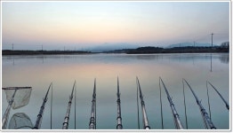 어신 > 이번 겨울 세번째 찾은 전남권...그 첫번째는 양장리수로 : 낚시사랑