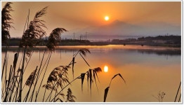 어신 > 이번 겨울 세번째 찾은 전남권...그 첫번째는 양장리수로 : 낚시사랑