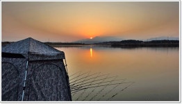 어신 > 이번 겨울 세번째 찾은 전남권...그 첫번째는 양장리수로 : 낚시사랑