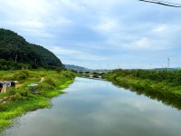 솔바람소리 > 화산천 : 낚시사랑