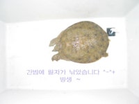 충주호첫낚시 > ● 진천수로와 초평지 ^-^ : 낚시사랑