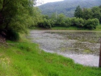 대물야인 > [홍성,보령권]갈수 이 후. 새물찬스 어디로..? : 낚시사랑