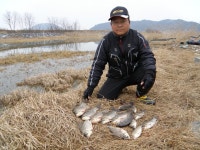 무안ic낚시 > 해남 화원수로 조황입니다. : 낚시사랑