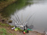 세월낚시용인점 > 용인및안성권 소류지 : 낚시사랑