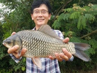 AB방조제낚시 > 천수만[부남호]7월9일 44cm 41cm 대물조황 : 낚시사랑