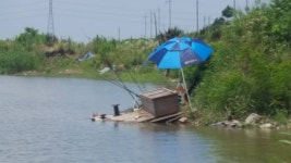 레인저피싱 K9 > 7/7일 아산 해암리 소식 : 낚시사랑
