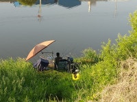 원삼안흥수낚시 > 깡패들이 무서워요===청미천 : 낚시사랑