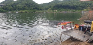 조황조행기 > 낚시점 조황 > 용원지(신덕지)