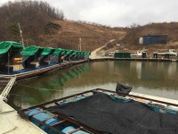 오산나그네 > 오산나그네의 거일낚시터 조행기 : 낚시사랑
