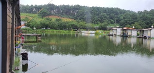 블랙배어 > 블랙베어의 유료터 조행기 - 우금낚시공원 : 낚시사랑